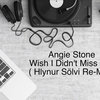 Angie Stone - Wish I Didn't Miss You ( Hlynur Sölvi Re-Mix )