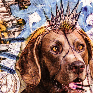 Wag King cover