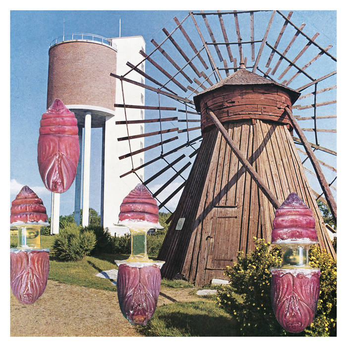 ポップス+ロック(邦楽) Circle Step [CD] Prospekt | Circle | Essence Music