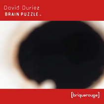 [BR204] : David Duriez - Brain Puzzle ep cover art