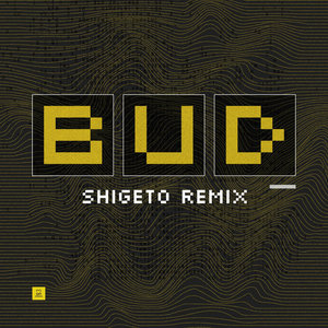 BUD (Shigeto Remix feat. Kesswa) cover