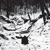 Abysmal Shores of the Dark Lands Beyond
