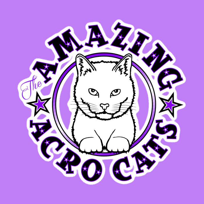 munchkin kittens for sale KENNY