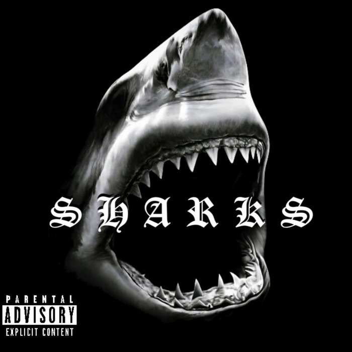 Germany Rapper Shark Sharks | Touré Masters
