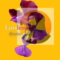 Lossless cover art