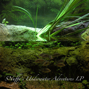 SNuffy's Underwater Adventures LP cover