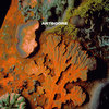 artsrecordings.bandcamp.com