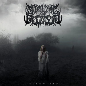 Forgotten cover
