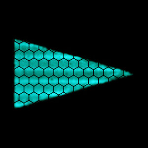 Posy — Fluorescent