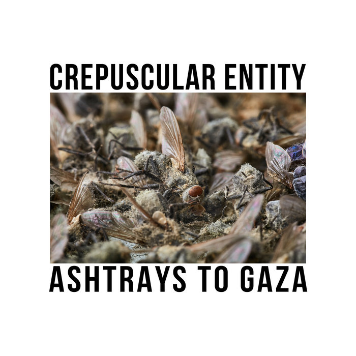 Ashtrays To Gaza / Crepuscular Entity Ashtrays To Gaza / Crepuscular