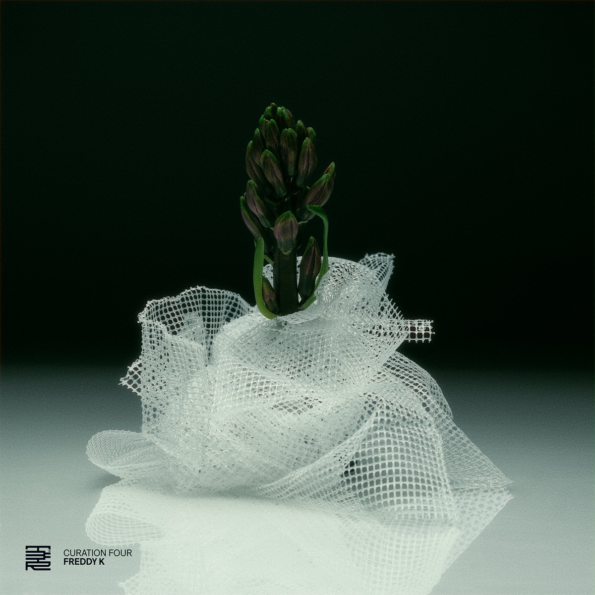 Curation Four: Freddy K | Various Artists | The Third Room
