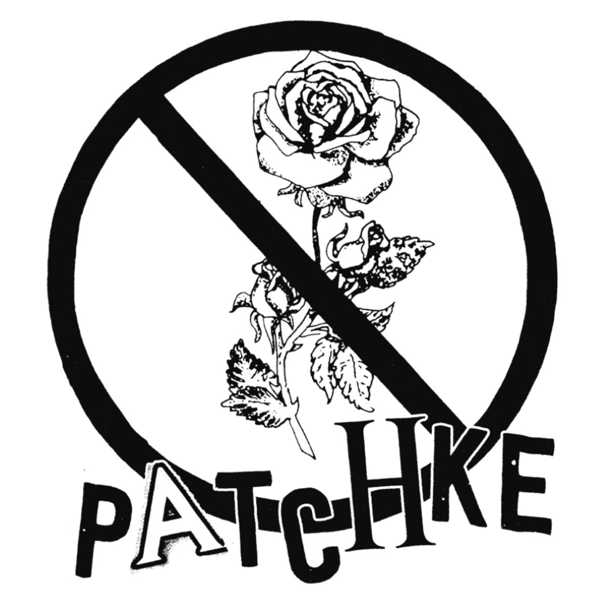 jubilation-echoes-of-change-patchke