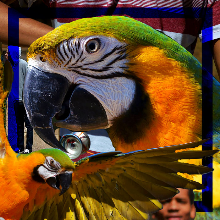 Mind Over Mattress blitz husky