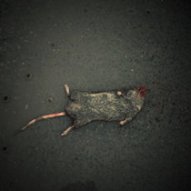 doomed from birth cover art