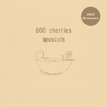希少絶版　800 cherries / piccolo/ OPUSCULA CD a0879154171_2.jpg