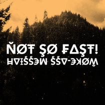 Not So Fast! cover art