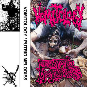 SPLIT TAPE WITH PUTRID MELODIES cover