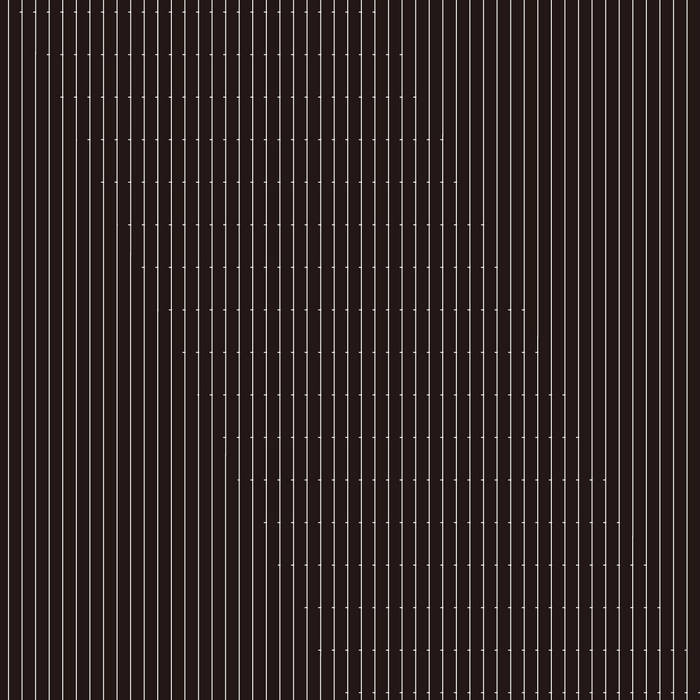 邦楽 2LP-Nisennenmondai #N/A ON-U SOUND 邦楽 2LP-Nisennenmondai #N/A ON-U SOUND 2LP-Nisennenmondai