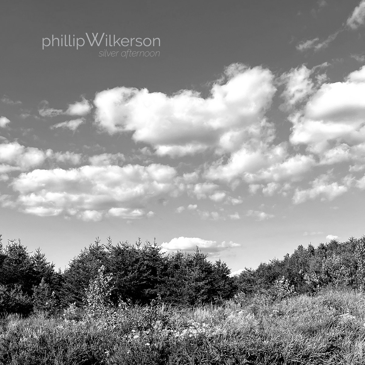 silver-afternoon-phillip-wilkerson