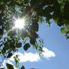 Soare