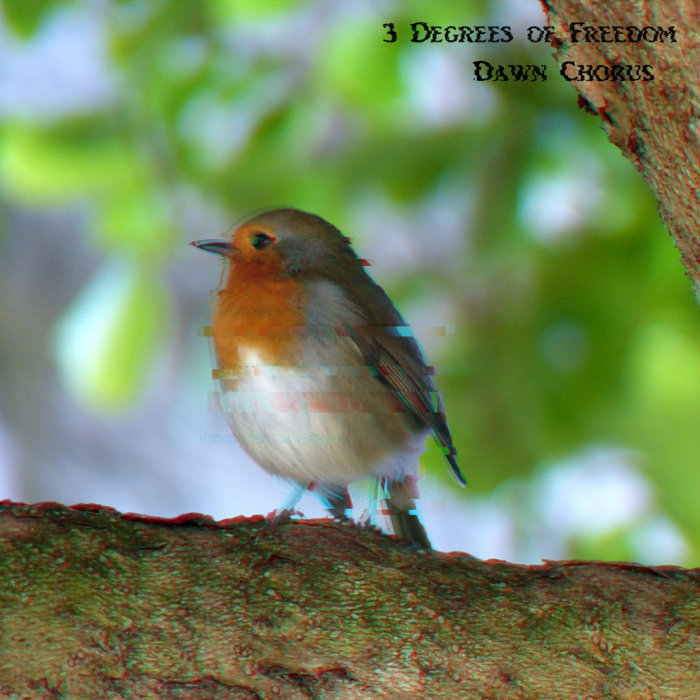 Dawn Chorus 3 Degrees of Freedom
