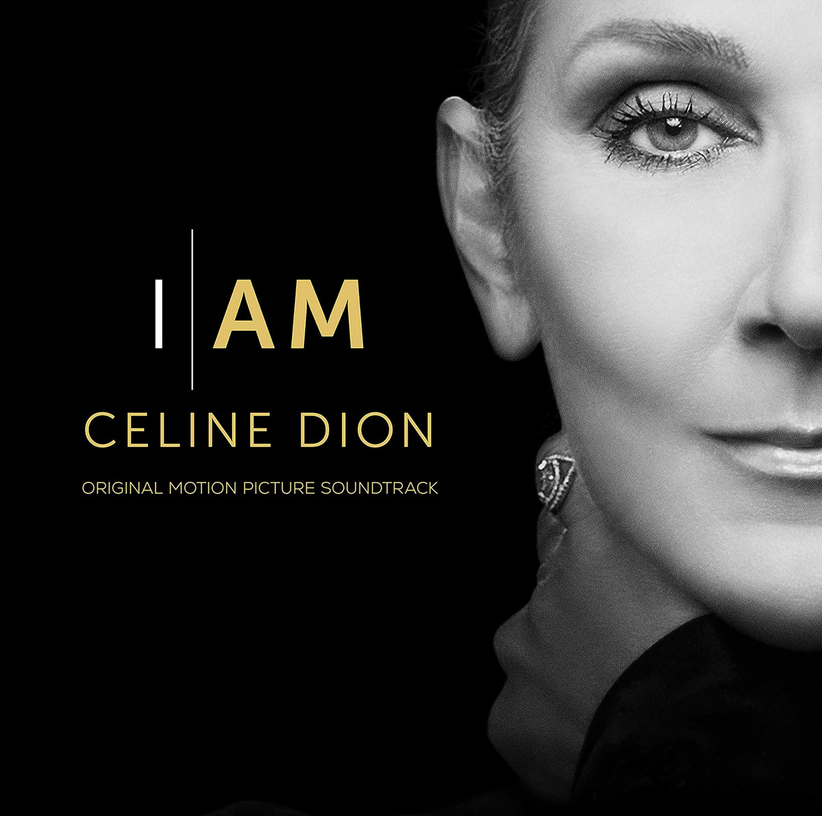 Celine Dion Remixes | Daniel Adame
