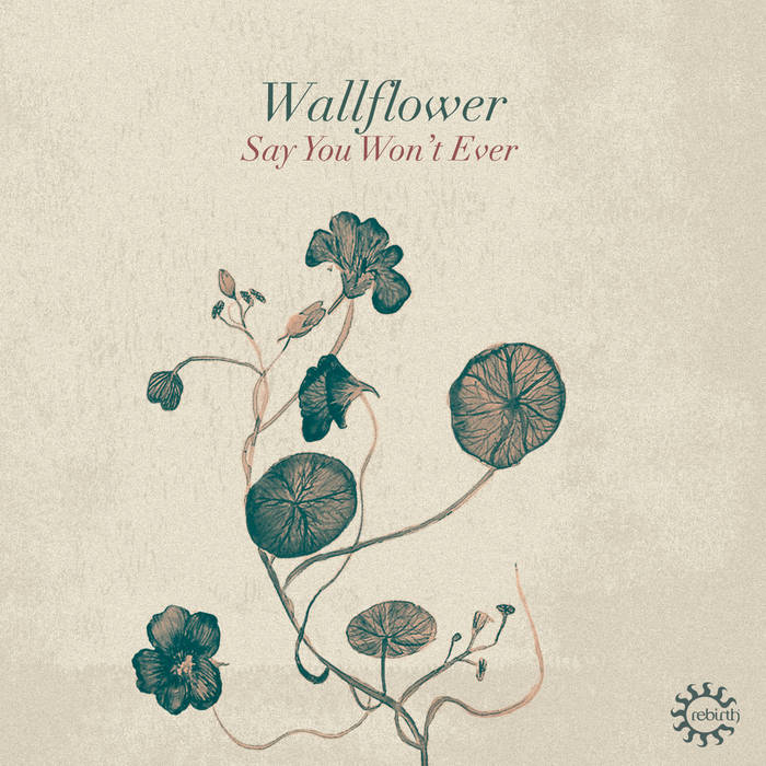 Say You Won't Ever' (Larry Heard Club Mix) | Wallflower | Rebirth