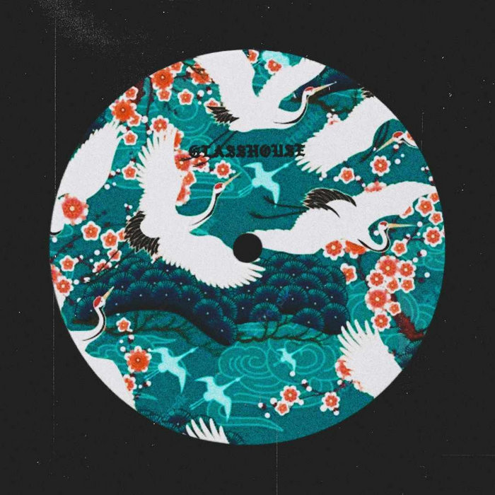 finding2 GLASSHOUSE.