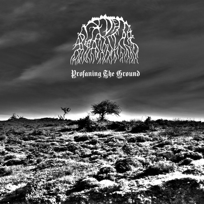 Profaning The Ground E.P., by A Diadem of Dead Stars