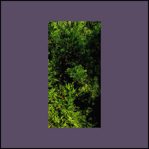 Travelogue Botany: Phase II [10th Anniversary Retrospective] cover