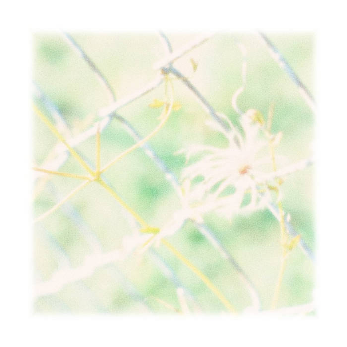 Suite, by Dorothy&#39;s