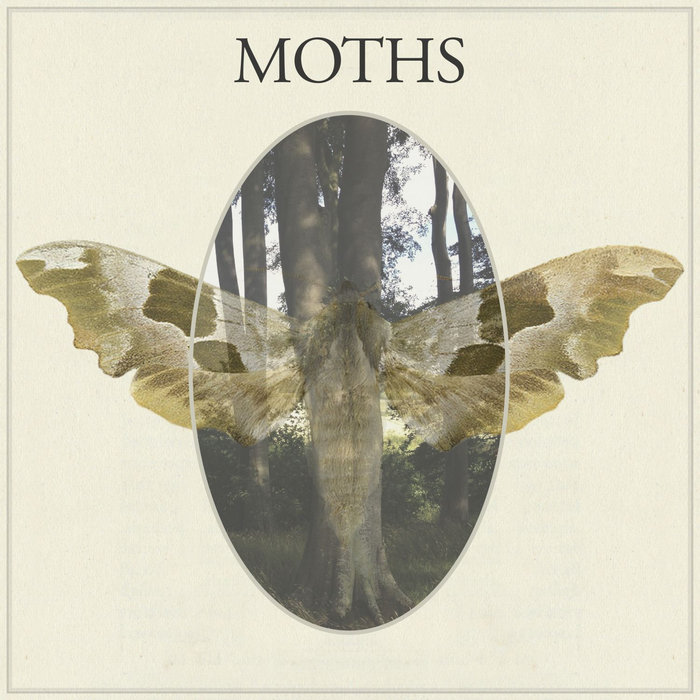the moth and the mountain the moth and the mountain