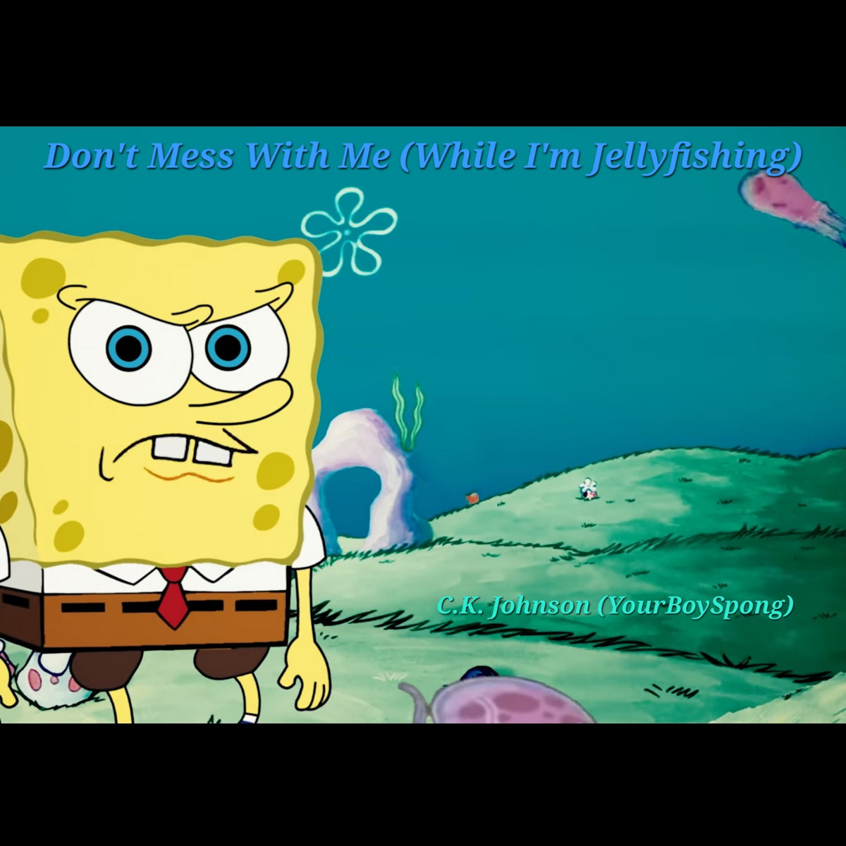 Dont Mess With Me While Im Jellyfishing Don't Mess with Me (While I'm Jellyfishing) | C.K. Johnson