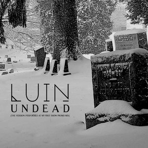 Undead (The Version I Performed At My First Show Promo Mix) cover