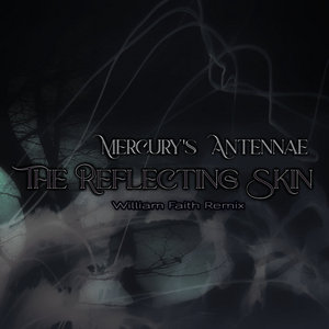 The Reflecting Skin (William Faith Remix) cover