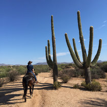 Ride in the Desert cover art