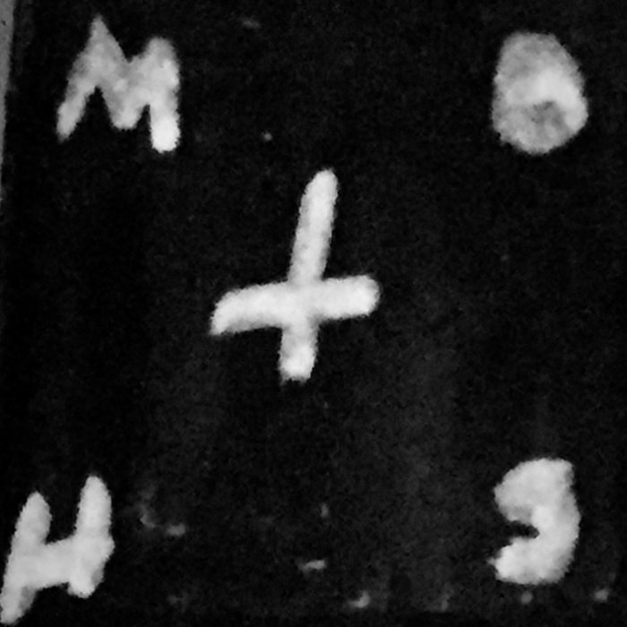 Moths — Photo