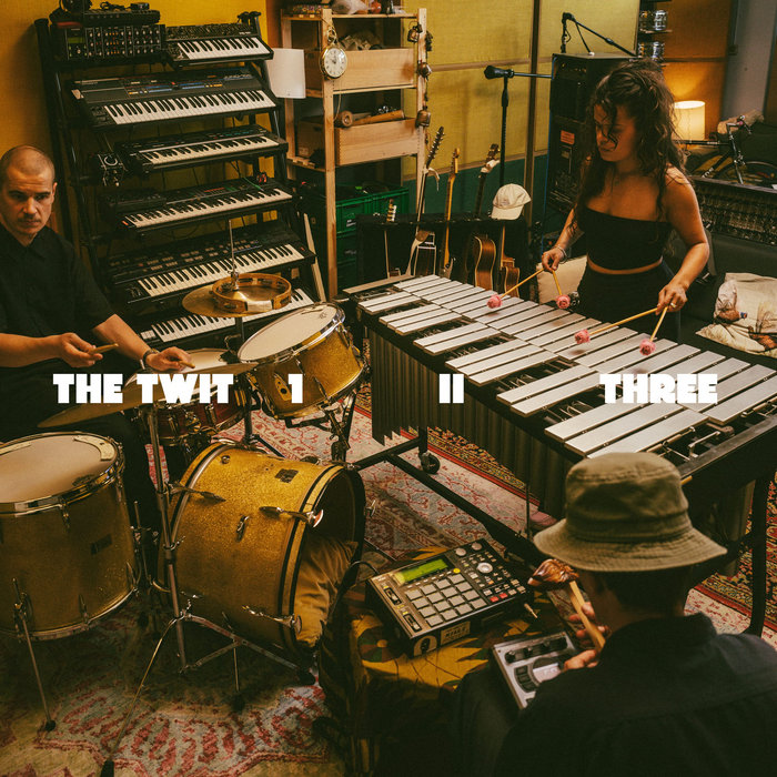 Pochette de The Twit 1, II, Three par The Twit 1, II, Three