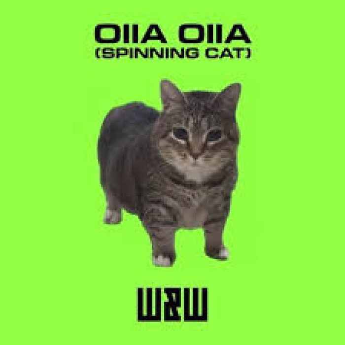 W W Oiia Oiia Spinning Cat Extended Mix Dj Andy