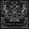 Primitive Sound- The Language Of Rituals