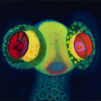 洋楽 Thee Oh Sees /Singles Collection,Vol.1&2 Thee Oh Sees-Singles Collection 1 & 2 Exclusive 2LP Color