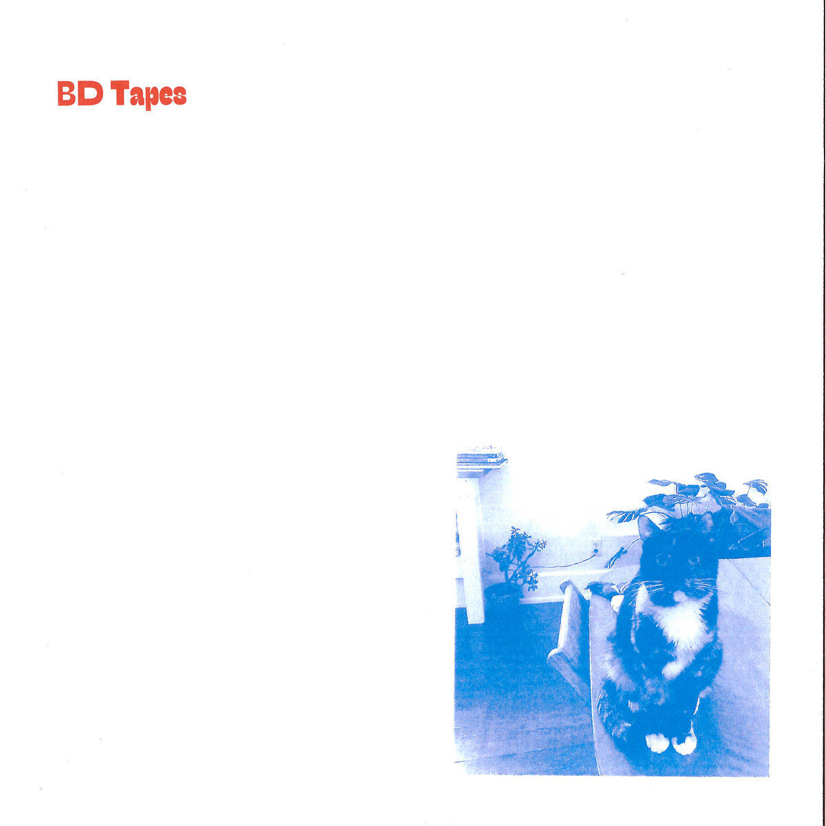 Bd Tapes