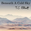 Beneath A Cold Sky Cover Art