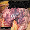 Demo 2025