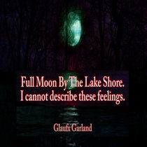 Full Moon By The Lake Shore. I Cannot Describe These Feelings. cover art