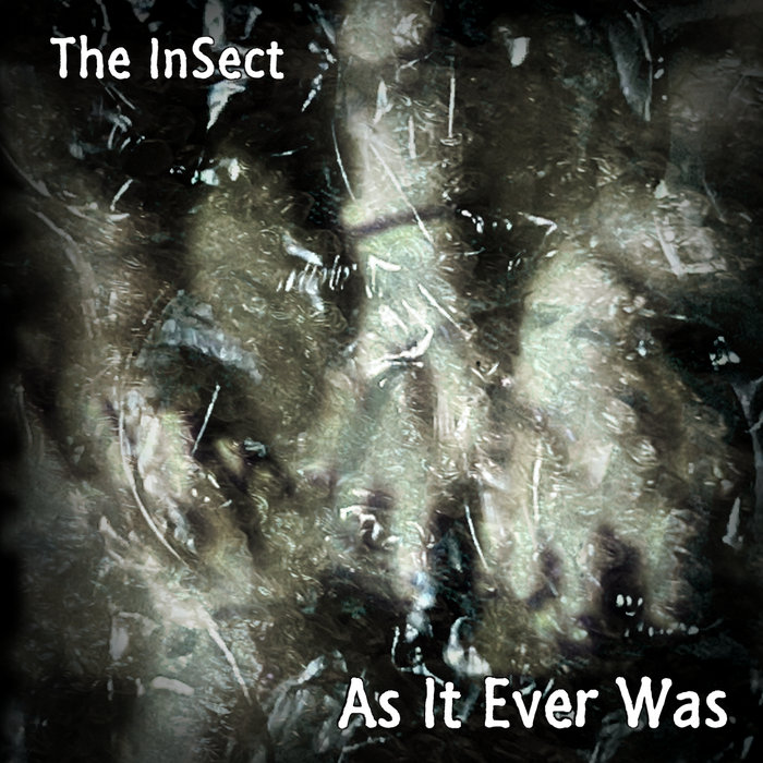 Sunk Cost Fallacy, by The InSect