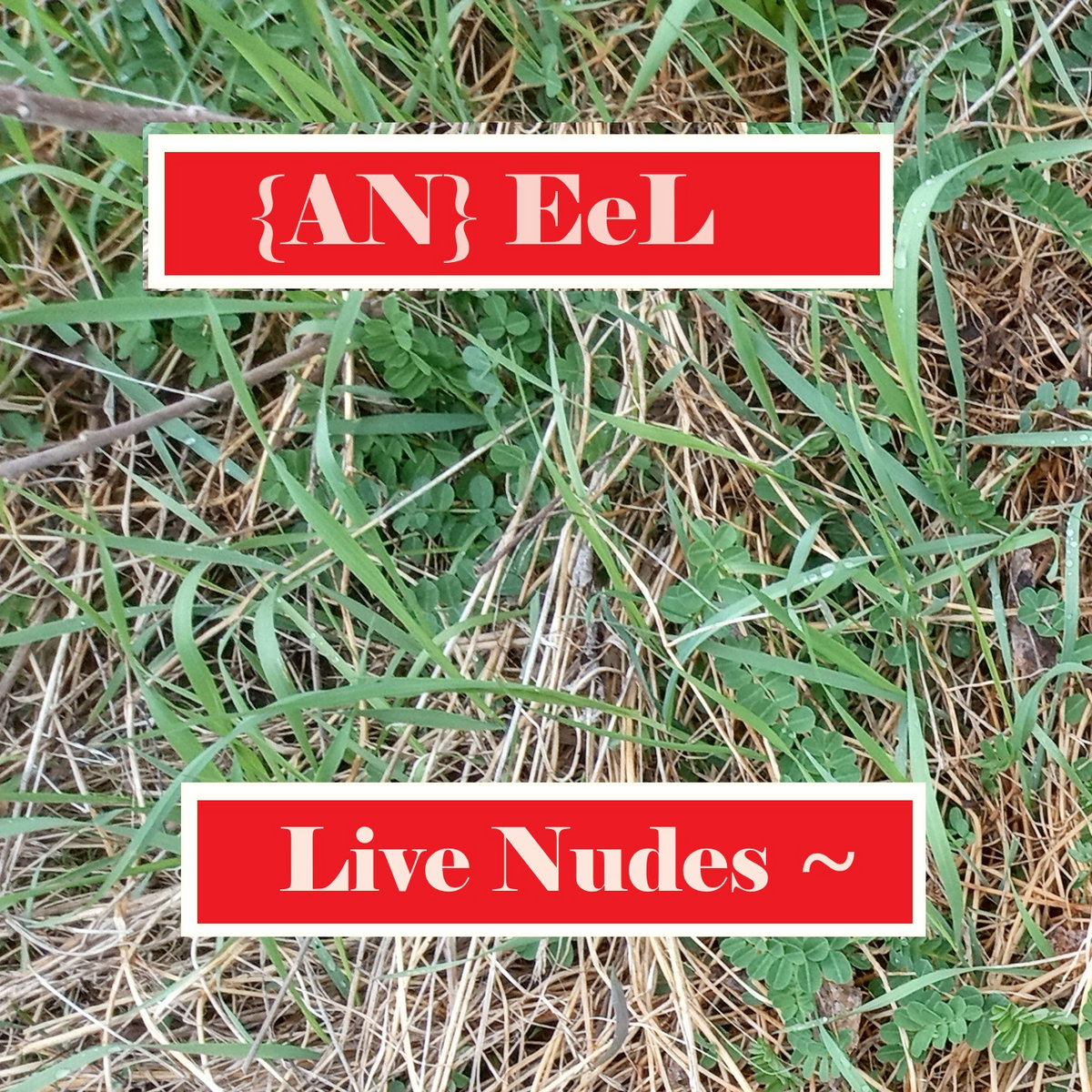 Live Nudes