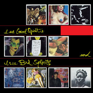 I See Good Spirits And I See Bad SpiritsMy Life With The Thrill kill Kult cover