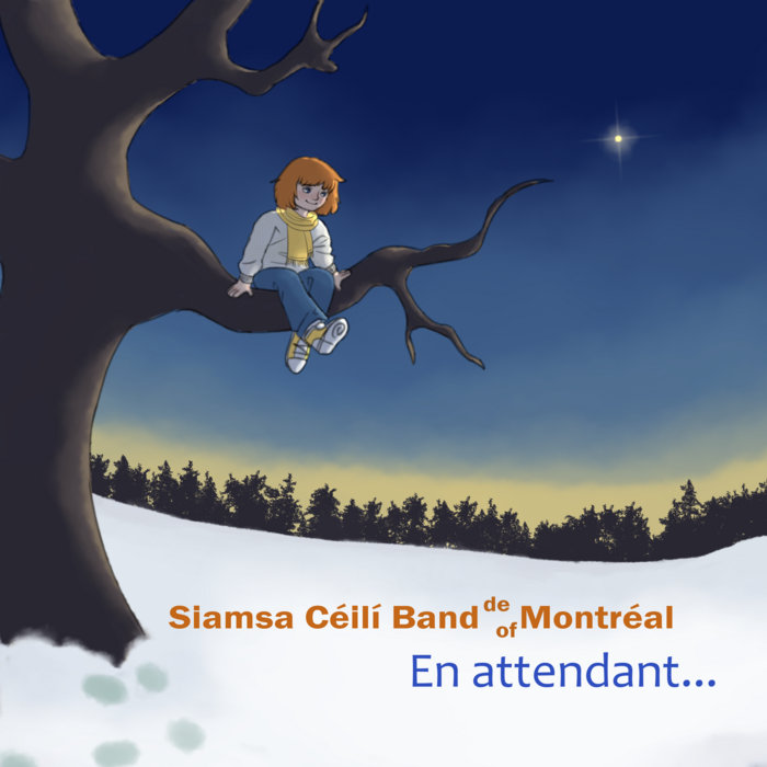 Siamsa Céilí Band on Bandcamp