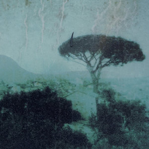 Gasperina cover